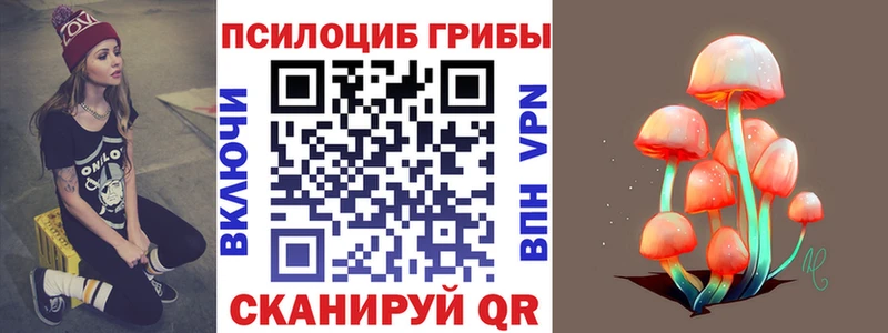 хочу   Вуктыл  Псилоцибиновые грибы мицелий 